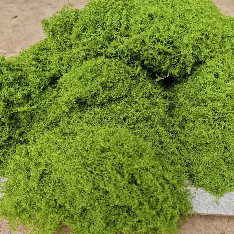 Terrarium Moss Art - 30g Fake Moss Artificial Green Moss