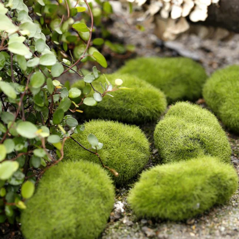 4Pcs Micro Landscape Artificia - Terrarium Moss Art 评论和价格
