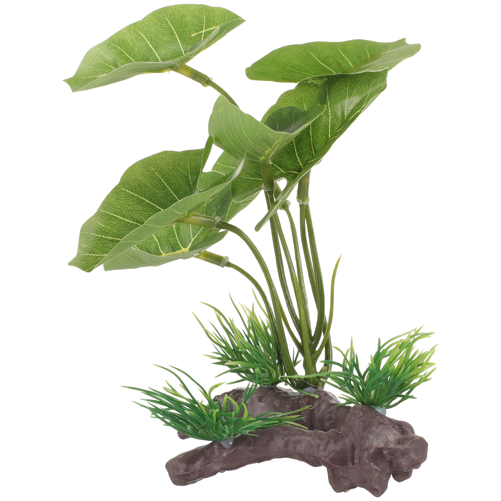 Fish Tank Artificial Water Pla - Terrarium Moss Art 评论和价格