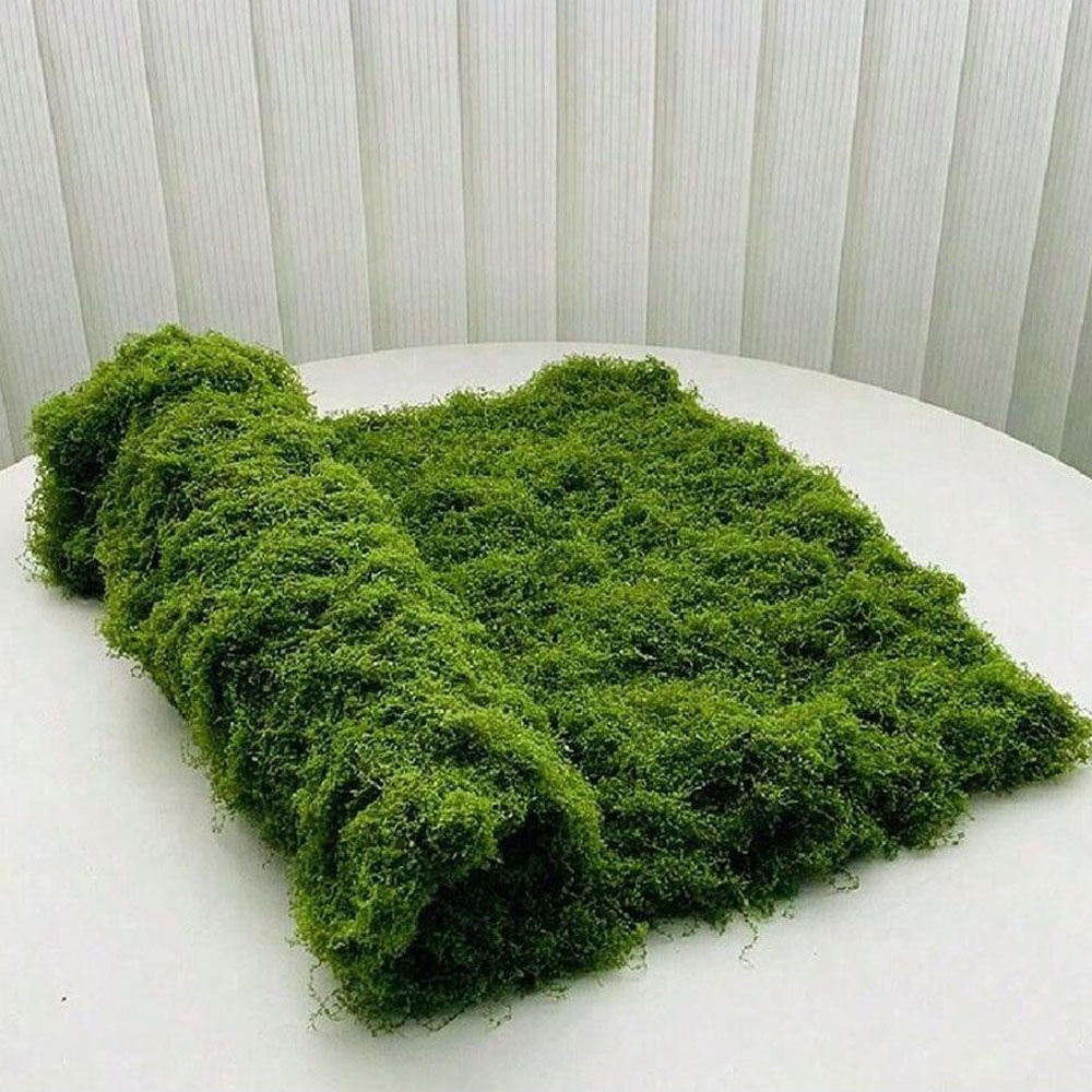 1*1m Fake Moss DIY Crafts Gras - Terrarium Moss Art 评论和价格