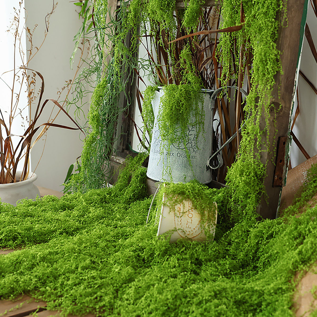about 20g Artificial Green Pla - Terrarium Moss Art 评论和价格