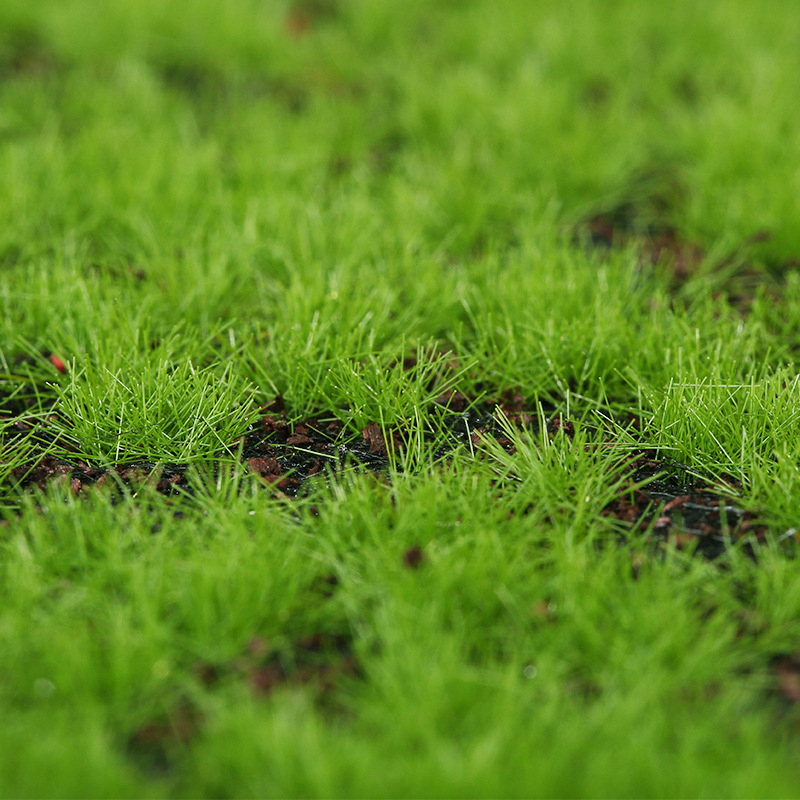 Artificial Moss Fake Green Mos - Terrarium Moss Art 评论和价格
