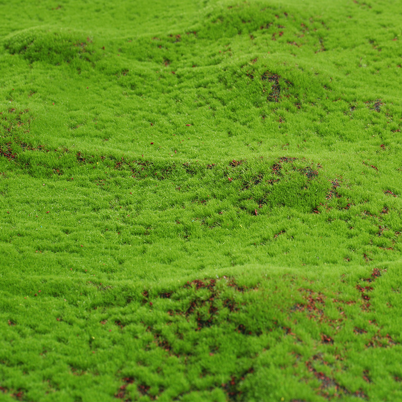 Artificial Moss Fake Green Mos - Terrarium Moss Art 评论和价格