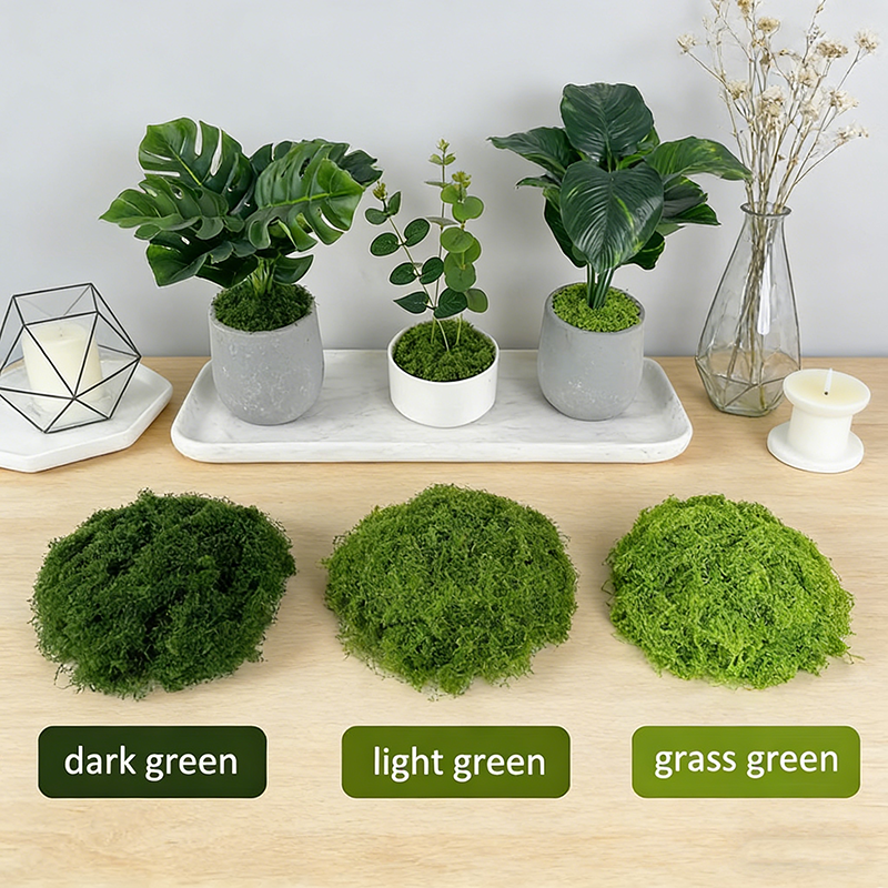 Artificial simulation of moss  - Terrarium Moss Art 评论和价格