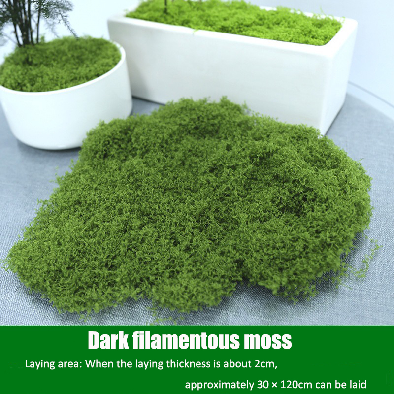 Artificial simulation of moss  - Terrarium Moss Art 评论和价格