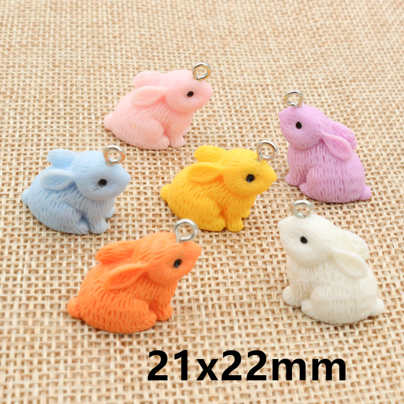 10PCS Resin Pendant Charms Rab - Resin Craft Supplies 评论和价格