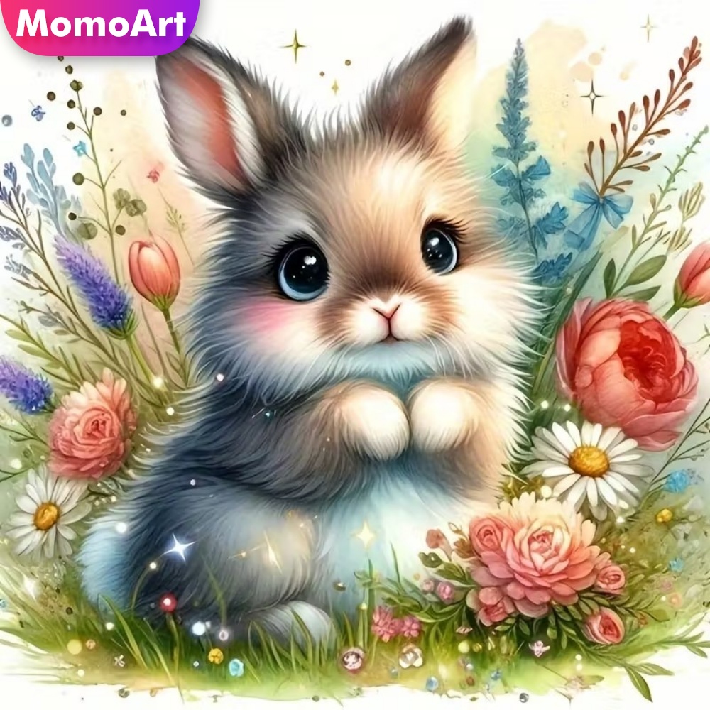 Momoart Diamond Painting Rabbi - Resin Craft For Beginners 评论和价格